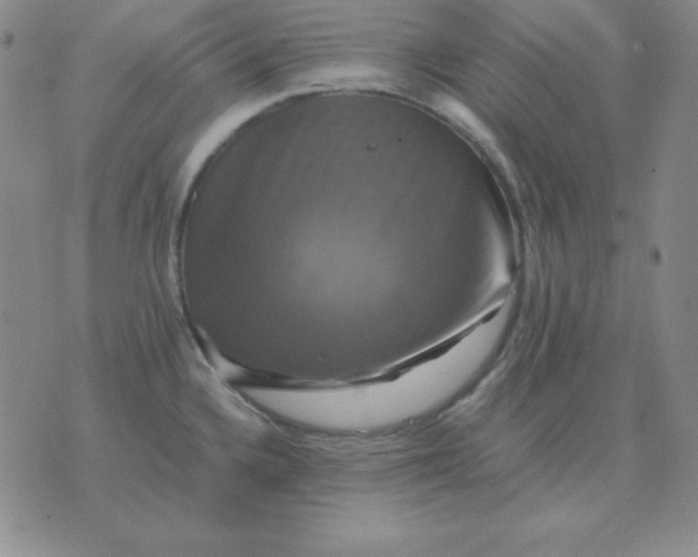 X0000075861336200610061927