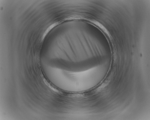 X0000075861337200610061927