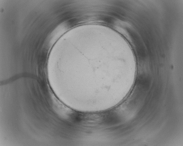 X0000075861338200610061927