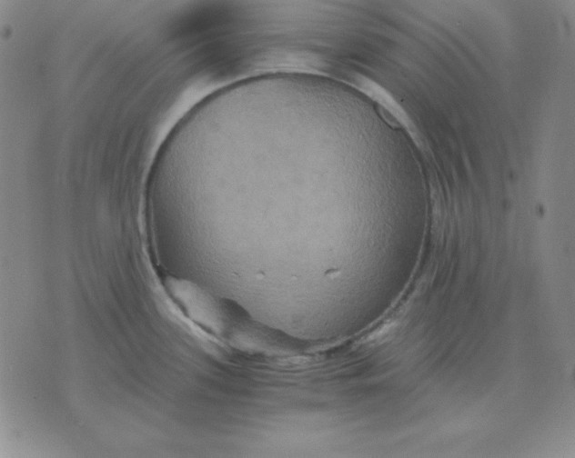 X0000075861339200610061928