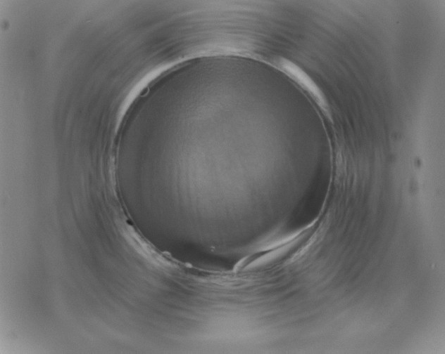 X0000075861340200610061928