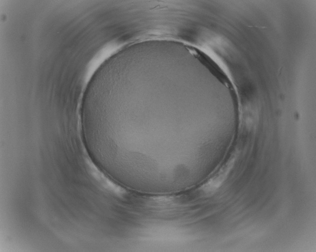 X0000075861341200610061928