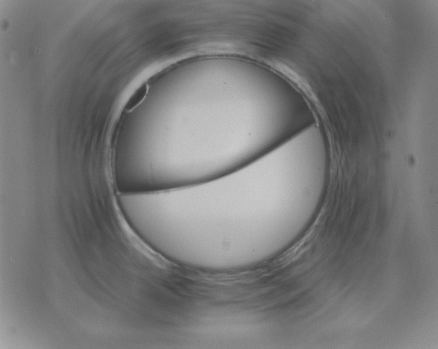 X0000075861342200610061928