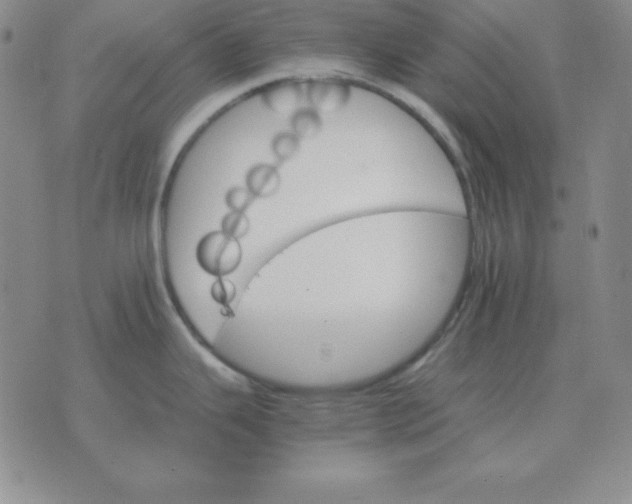 X0000075861343200610061928