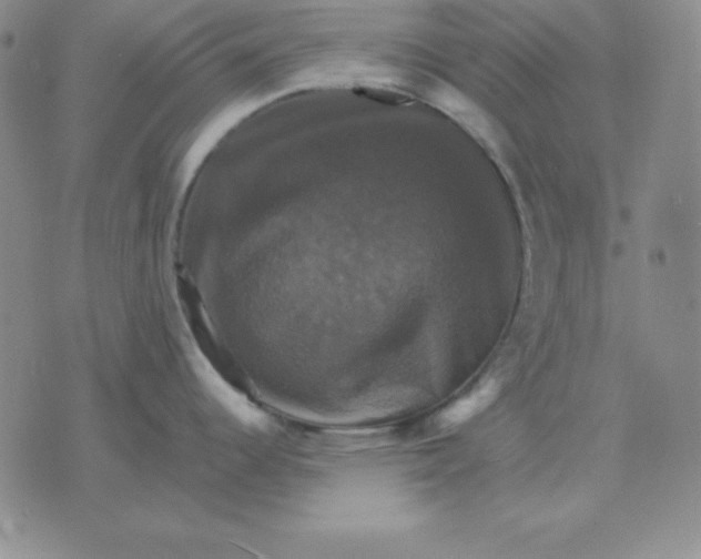 X0000075861344200610061928