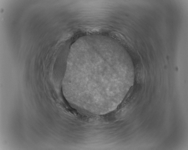 X0000075861345200610061927