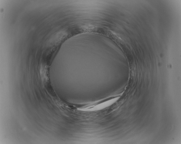 X0000075861346200610061927