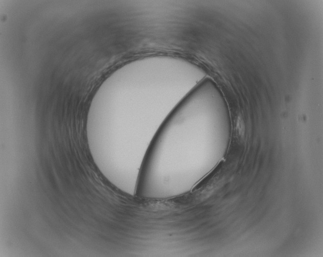 X0000075861348200610061927