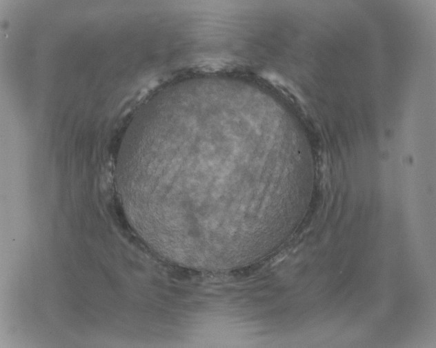 X0000075861349200610061927