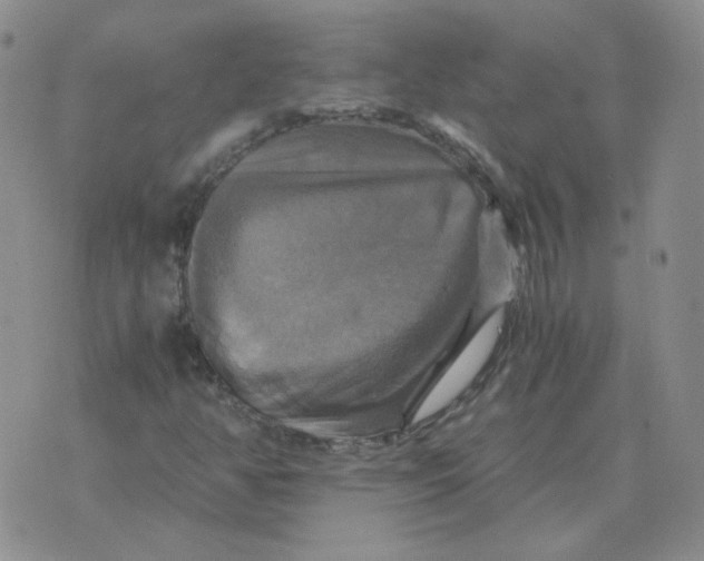 X0000075861350200610061927