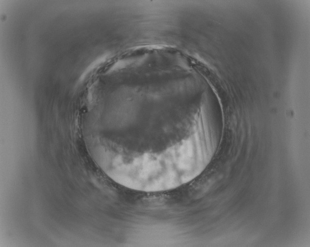 X0000075861351200610061927