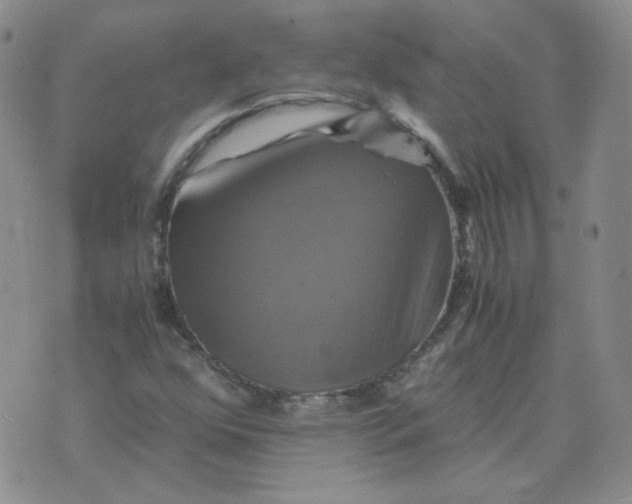 X0000075861352200610061927