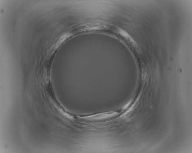 X0000075861353200610061927