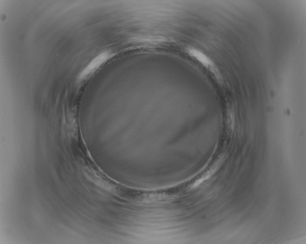 X0000075861354200610061927