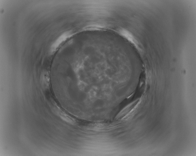 X0000075861355200610061927