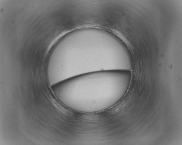 X0000075861356200610061927