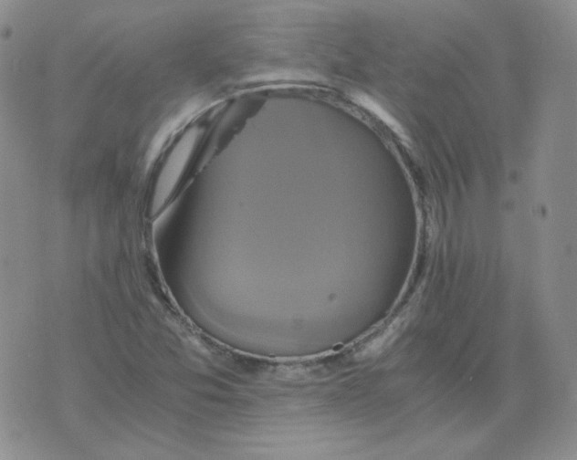 X0000075861357200610061927