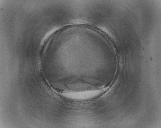 X0000075861358200610061927