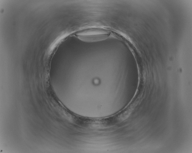 X0000075861359200610061927