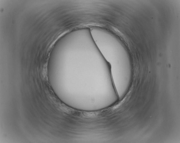 X0000075861361200610061927