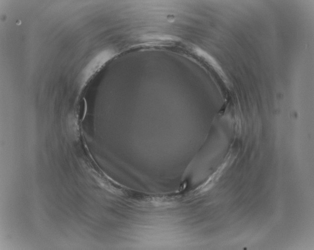 X0000075861362200610061927