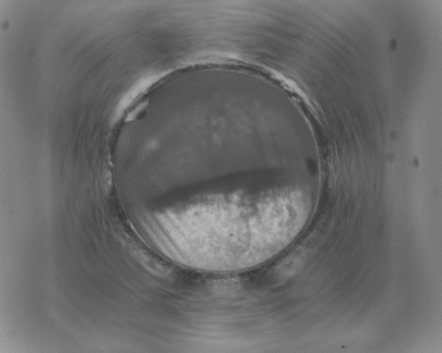 X0000075861363200610061927