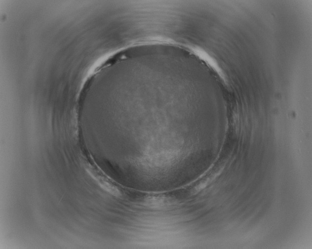 X0000075861364200610061927