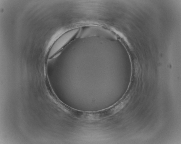 X0000075861365200610061926