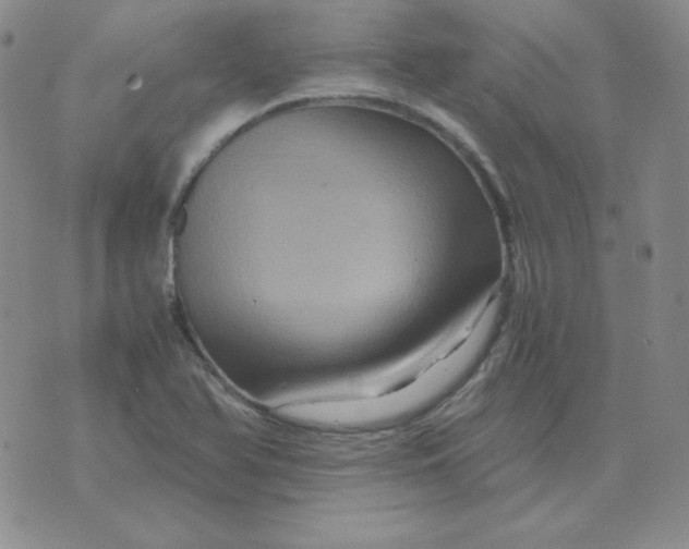 X0000075861366200610061926