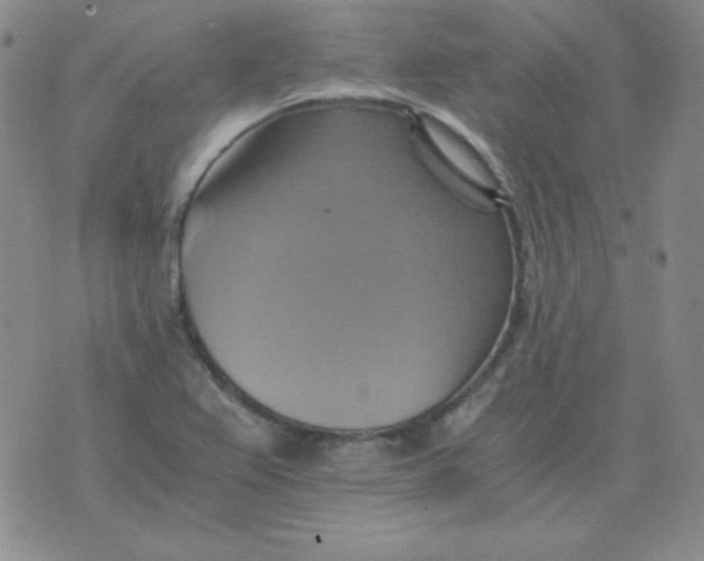 X0000075861367200610061926