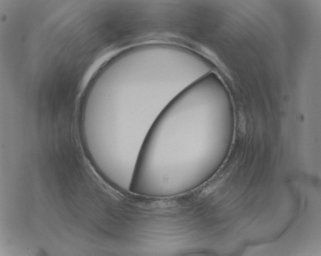 X0000075861368200610061926