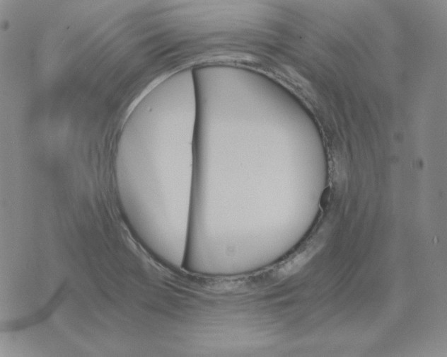 X0000075861369200610061926