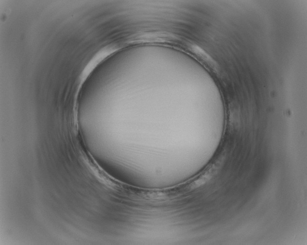 X0000075861370200610061926