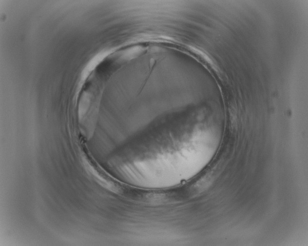 X0000075861371200610061926