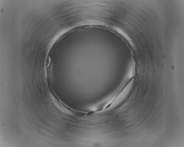 X0000075861372200610061926