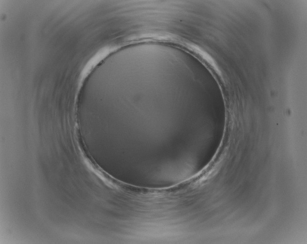 X0000075861373200610061926