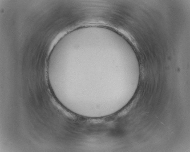 X0000075861374200610061926