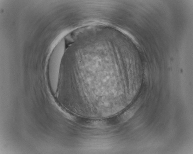 X0000075861375200610061926