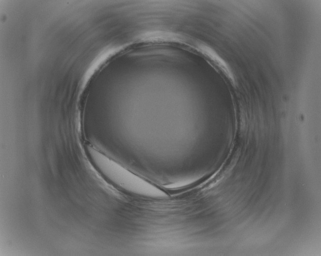 X0000075861376200610061926