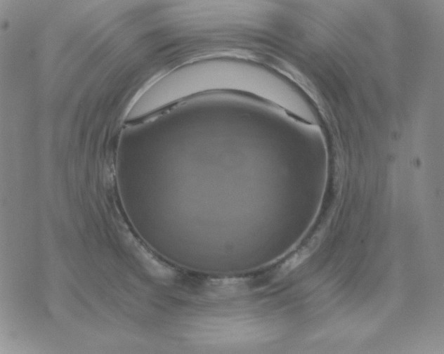 X0000075861377200610061926