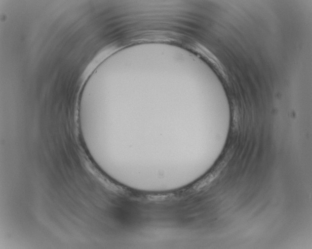 X0000075861378200610061926