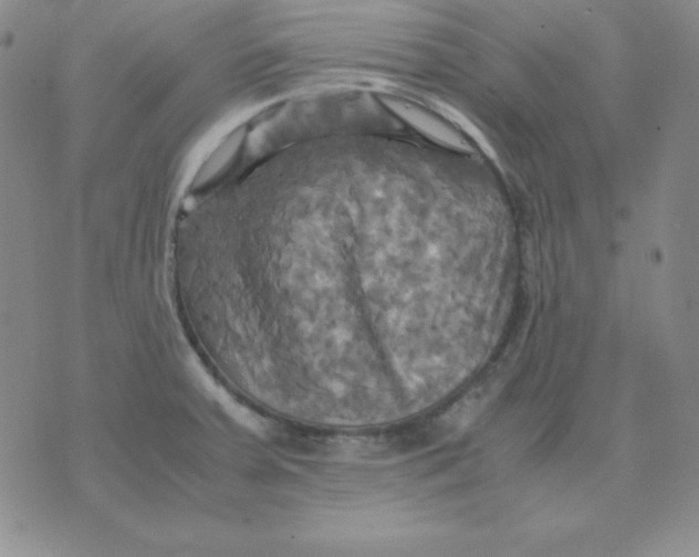 X0000075861379200610061926