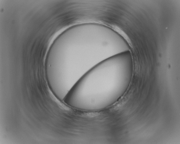 X0000075861380200610061926