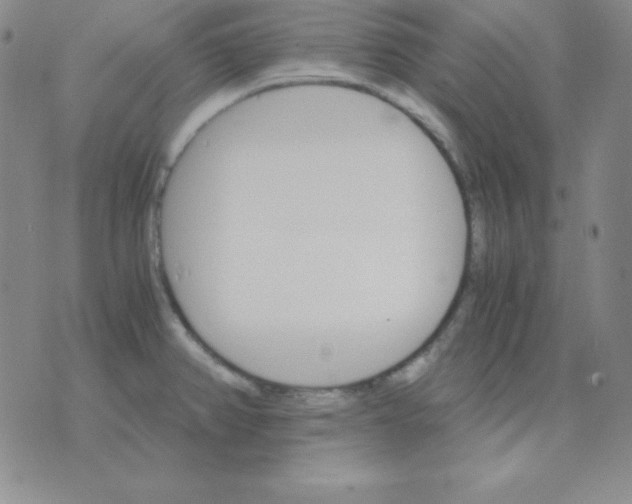 X0000075861382200610061926