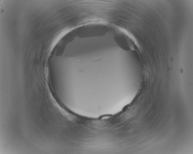 X0000075861383200610061926