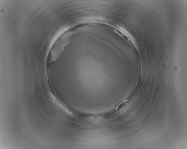 X0000075861384200610061926