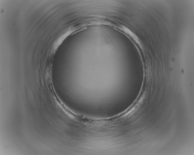 X0000075861385200610061926