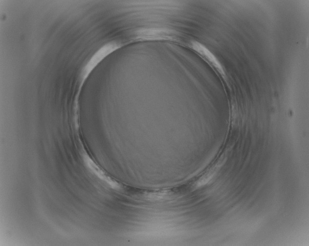 X0000075861386200610061926