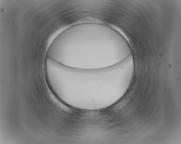 X0000075861387200610061926