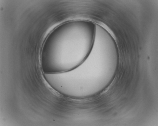 X0000075861388200610061926